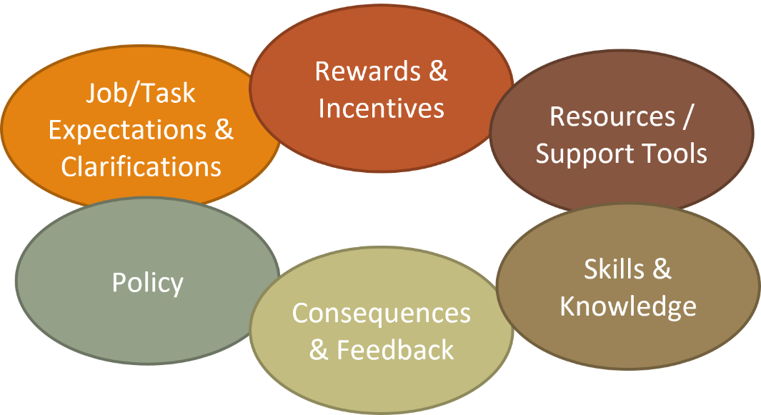 政策;对工作/任务的期望和澄清;奖励和激励机制;资源/支持工具;技能和知识;结果和反馈。